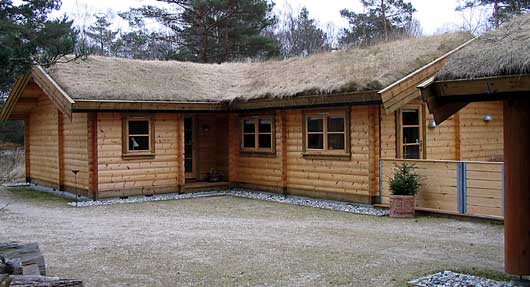 Etablering af græstage